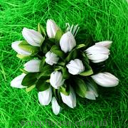 Тюльпаны белые с зелеными листиками