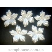 Цветы лилия белая