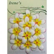 Цветы жасмина белые с желтым для скрапа, в наборе 10 шт., материал mulberry paper, размер 4 см, пр-во Таиланд.