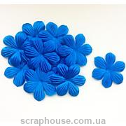 Цветы лилия синие