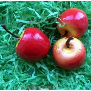 Яблоко красно-желтое декоративное