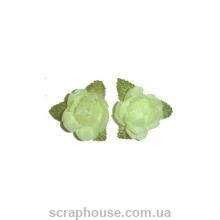 Пионы салатовые на зеленом листике
