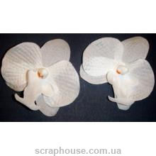 Головки цветов орхидеи белые 2 шт.