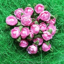 Пионы бело-розовые на зеленом листике